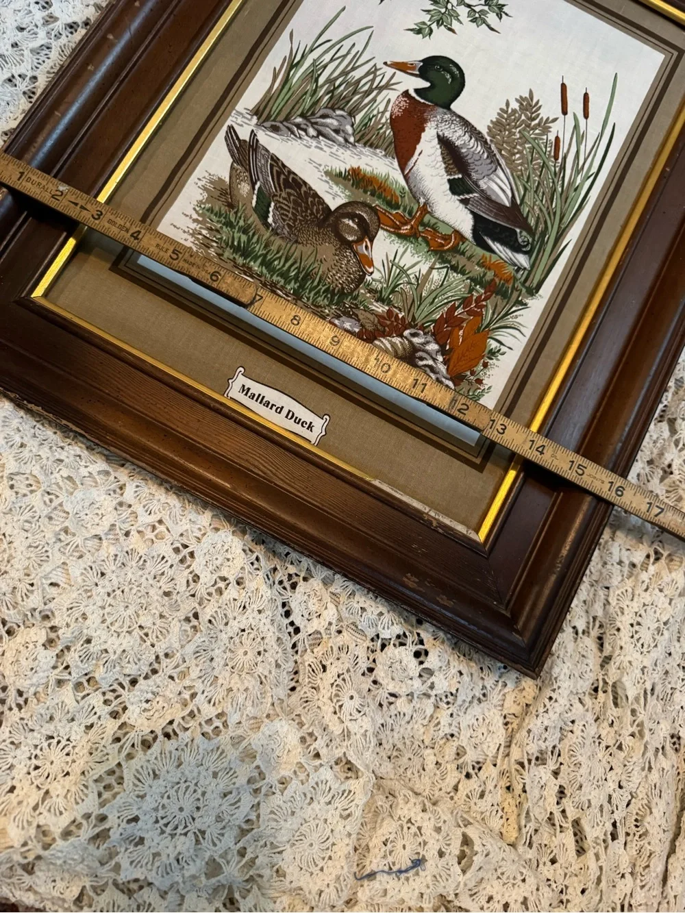 Vintage Brown and Green Mallard Duck Wall Art